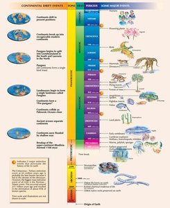 Major events in Earth's history and continental drift