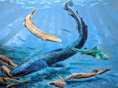 Devonian fish
