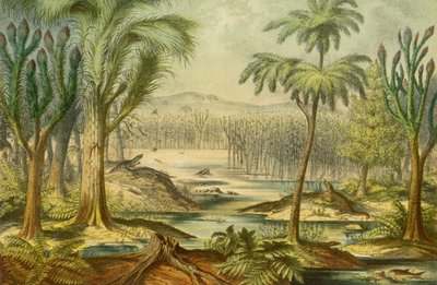 Carboniferous forest