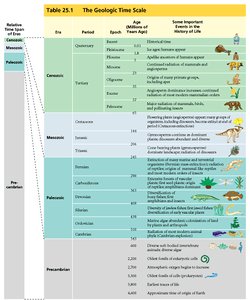 Geologic time scale table