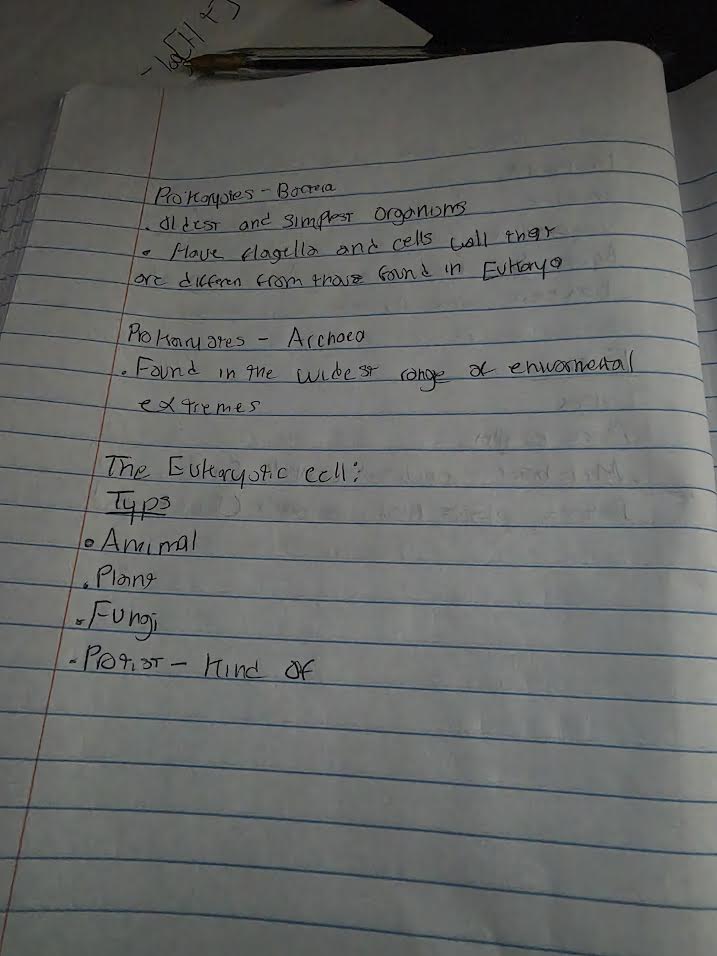 Handwritten notes on prokaryotes and eukaryotes
