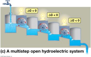 Hydroelectric system analogy for metabolism
