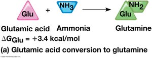 How ATP drives chemical work