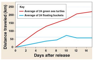 Graph: distance traveled by turtles vs. floating buckets