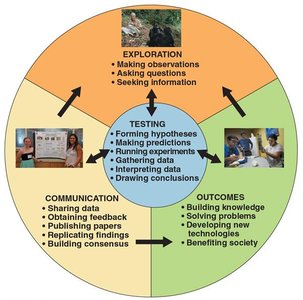 Diagram of the scientific process: exploration, testing, communication, outcomes