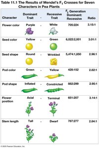 Table of Mendel's F1 crosses for seven characters