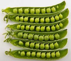Pea pods with seeds
