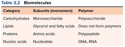 Table of biomolecules, monomers, and polymers