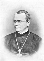 Portrait of Gregor Mendel