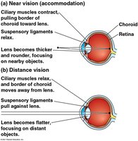 Focusing and the visual field