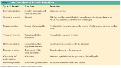 Overview of protein functions