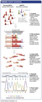 Sanger sequencing workflow