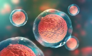 3D illustration of animal cells