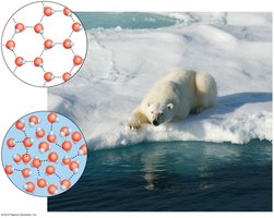 Hydrogen bonds in ice and liquid water