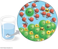 Water dissolving salt ions