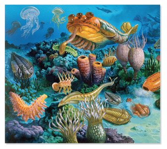 Cambrian marine life reconstruction
