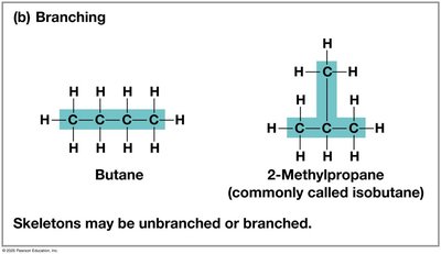 Branching in carbon skeletons: butane and isobutane