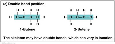Double bond position in carbon skeletons: 1-butene and 2-butene