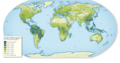 Global map showing plant species richness by region