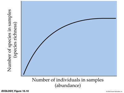 Species accumulation curve showing plateau with increased sampling