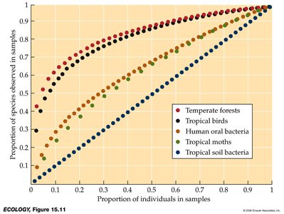 Graph comparing species accumulation curves for different taxa and habitats