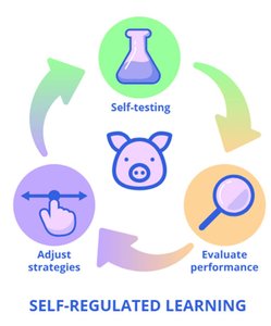 Self-regulated learning cycle