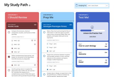 Study Path checkpoints