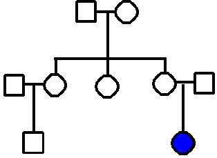 Pedigree chart with affected individual