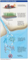 Nitrates as pollutants in aquatic ecosystems