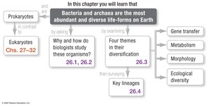 Chapter roadmap: Bacteria and Archaea are the most abundant and diverse life-forms on Earth