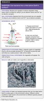 Enrichment cultures isolate large populations of cells