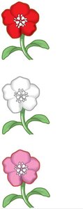 Flower color genotypes and phenotypes