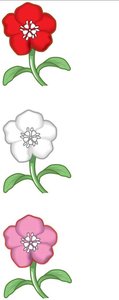 Flower color genotypes and phenotypes