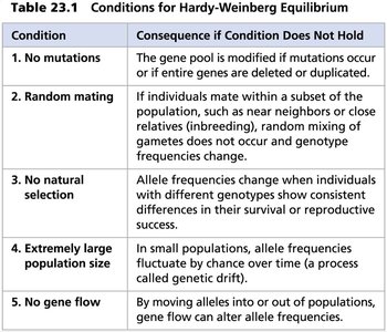 Conditions for Hardy-Weinberg Equilibrium