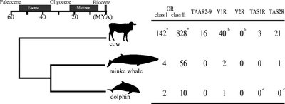 Mutation rates and rapid reproduction