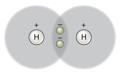 Covalent bond in oxygen molecule