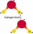 Diagram of hydrogen bonding between water molecules