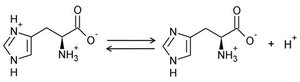 Table salt (NaCl) dissolved in water