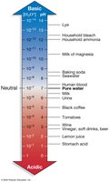 pH scale with examples