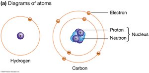 Diagrams of atoms: hydrogen and carbon