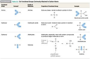 Six functional groups commonly attached to carbon atoms