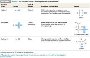 Six functional groups commonly attached to carbon atoms