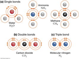 Single, double, and triple bonds in molecules