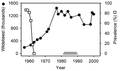 Graph showing wildebeest population and rinderpest prevalence over time