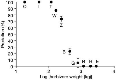 Graph showing predation percentage vs herbivore weight
