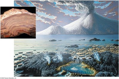 Stromatolites and volcanic early Earth