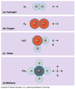 Covalent bonding in four molecules
