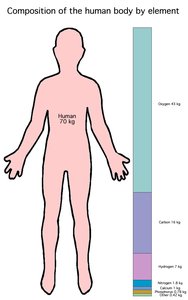 Composition of the human body by element