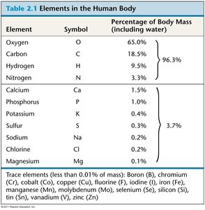 Table of elements in the human body