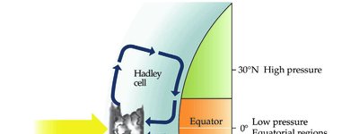 Global atmospheric circulation cells